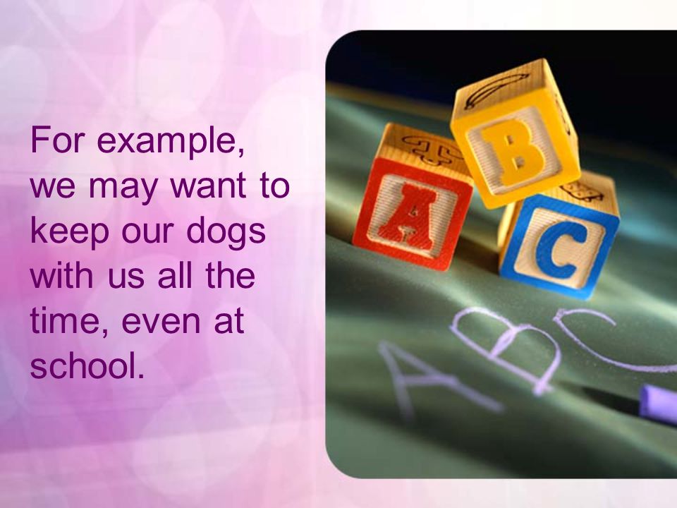 For example, we may want to keep our dogs with us all the time, even at school.