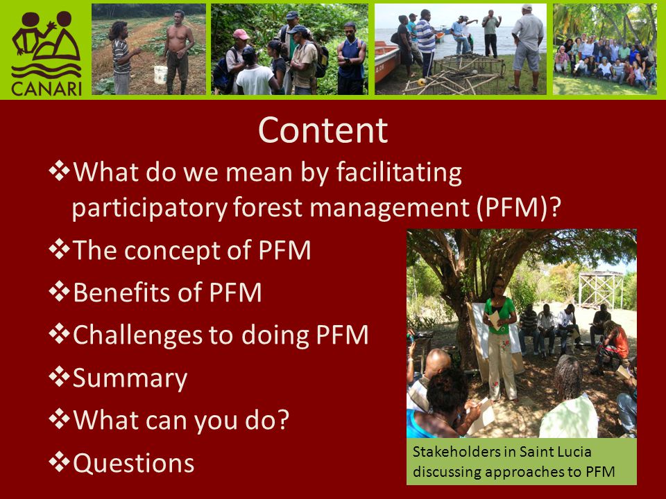 Content What do we mean by facilitating participatory forest management (PFM).
