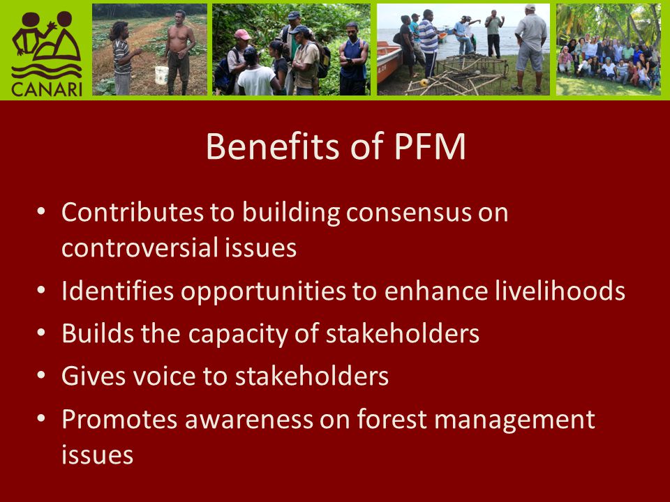 Benefits of PFM Contributes to building consensus on controversial issues Identifies opportunities to enhance livelihoods Builds the capacity of stakeholders Gives voice to stakeholders Promotes awareness on forest management issues