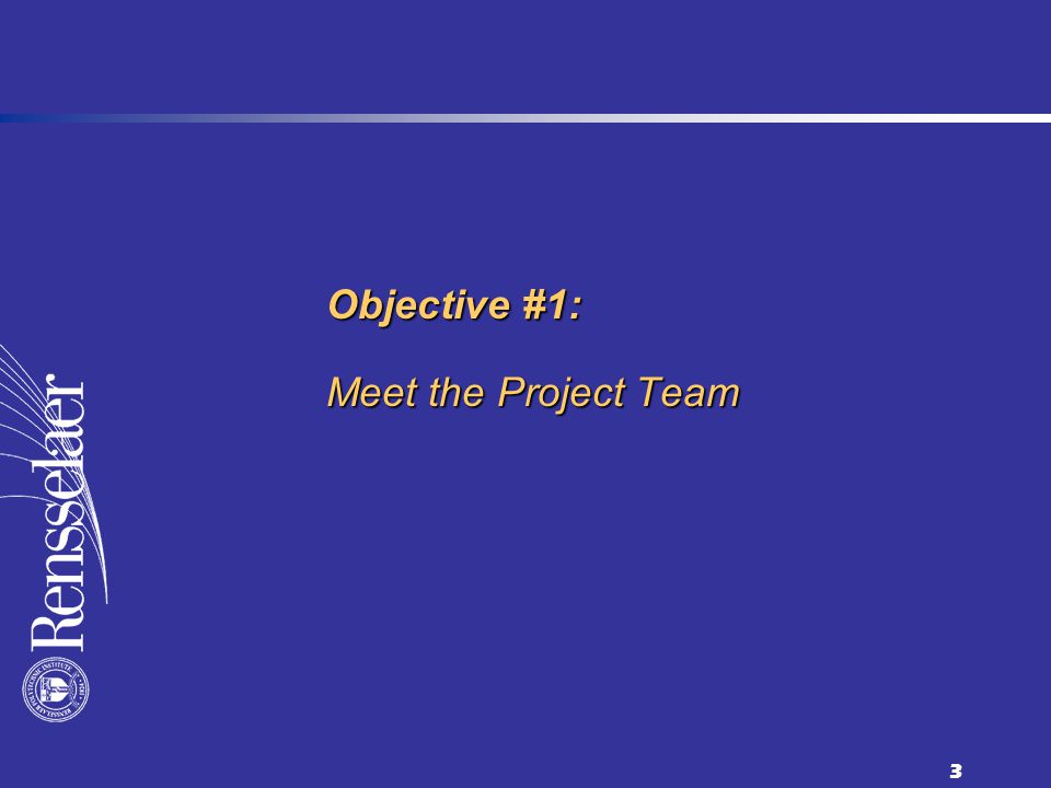 3 Objective #1: Meet the Project Team