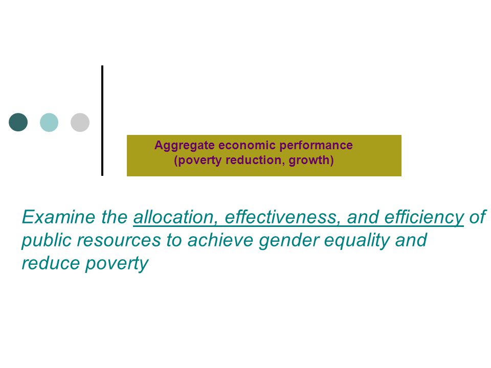 Examine the allocation, effectiveness, and efficiency of public resources to achieve gender equality and reduce poverty Aggregate economic performance (poverty reduction, growth)