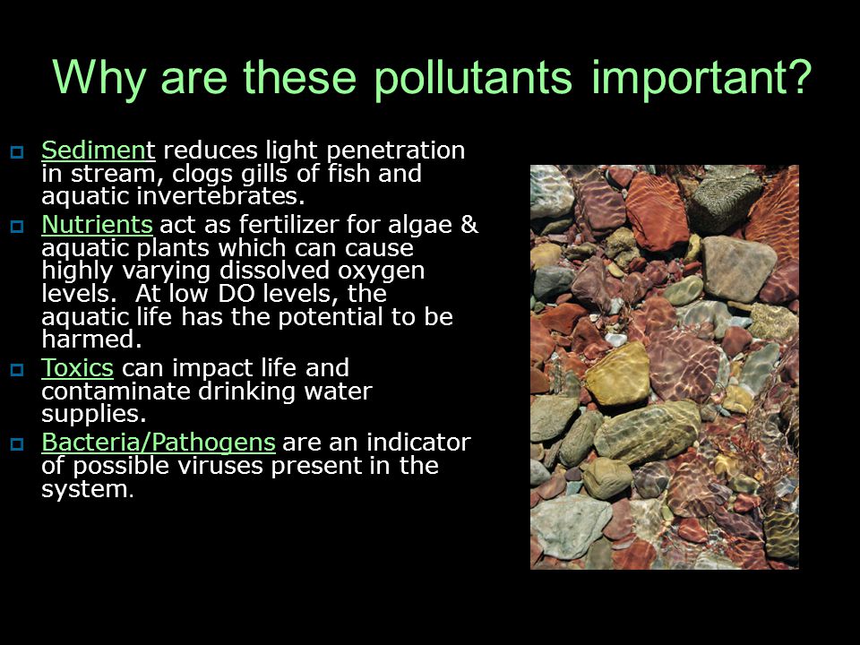 Why are these pollutants important.