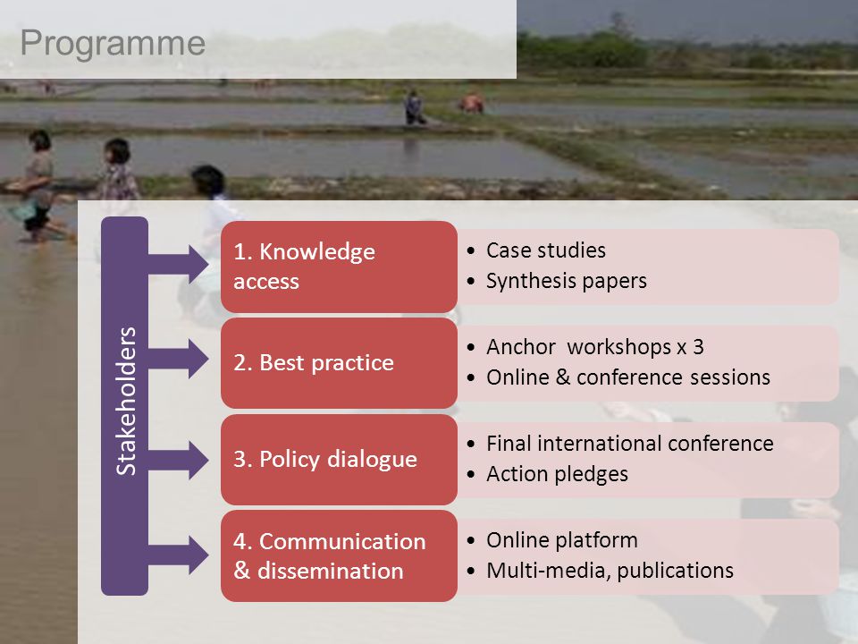 Programme Case studies Synthesis papers 1.