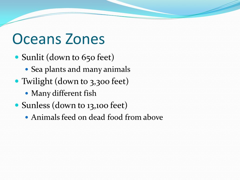 Oceans Zones Sunlit (down to 650 feet) Sea plants and many animals Twilight (down to 3,300 feet) Many different fish Sunless (down to 13,100 feet) Animals feed on dead food from above