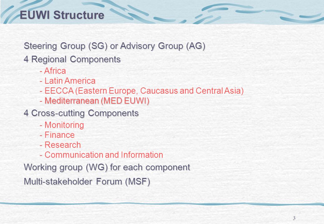 3 EUWI Structure Steering Group (SG) or Advisory Group (AG) 4 Regional Components - Africa - Latin America - EECCA (Eastern Europe, Caucasus and Central Asia) Mediterranean (MED EUWI) - Mediterranean (MED EUWI) 4 Cross-cutting Components - Monitoring - Finance - Research - Communication and Information Working group (WG) for each component Multi-stakeholder Forum (MSF)