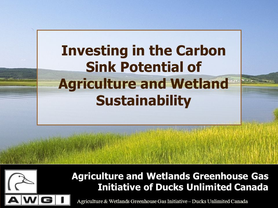 Investing in the Carbon Sink Potential of Agriculture and Wetland Sustainability Agriculture and Wetlands Greenhouse Gas Initiative of Ducks Unlimited Canada Agriculture & Wetlands Greenhouse Gas Initiative – Ducks Unlimited Canada