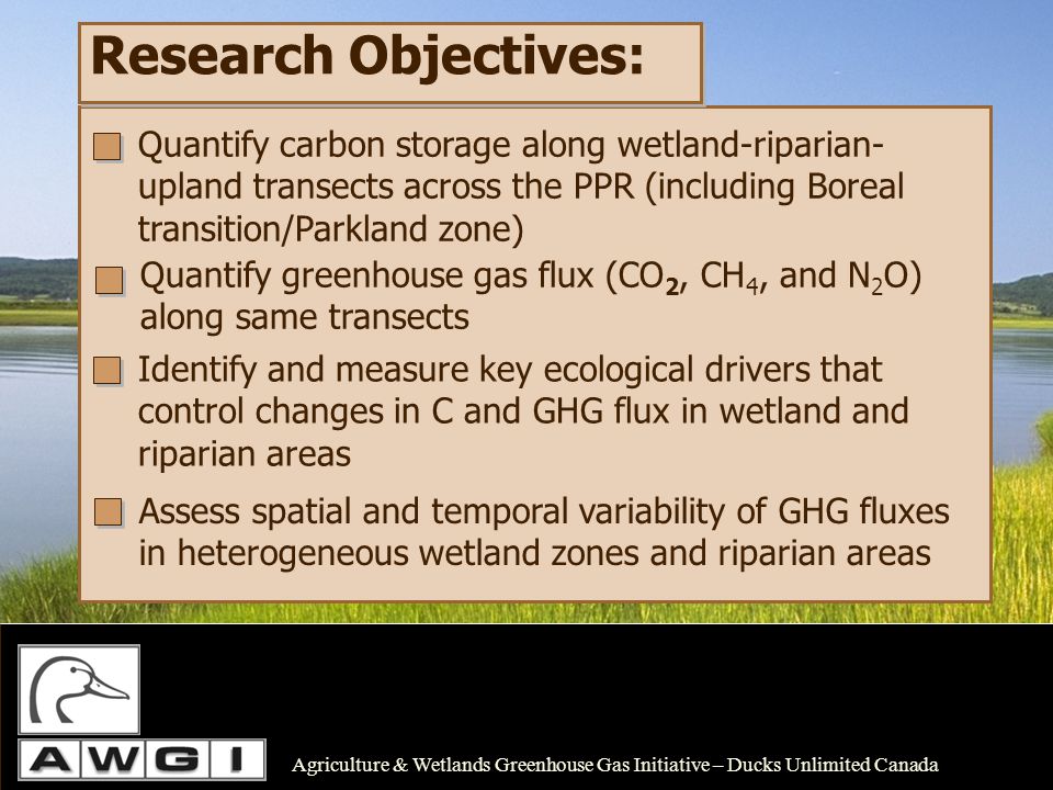 Research Objectives: Quantify carbon storage along wetland-riparian- upland transects across the PPR (including Boreal transition/Parkland zone) Quantify greenhouse gas flux (CO 2, CH 4, and N 2 O) along same transects Identify and measure key ecological drivers that control changes in C and GHG flux in wetland and riparian areas Agriculture & Wetlands Greenhouse Gas Initiative – Ducks Unlimited Canada Assess spatial and temporal variability of GHG fluxes in heterogeneous wetland zones and riparian areas