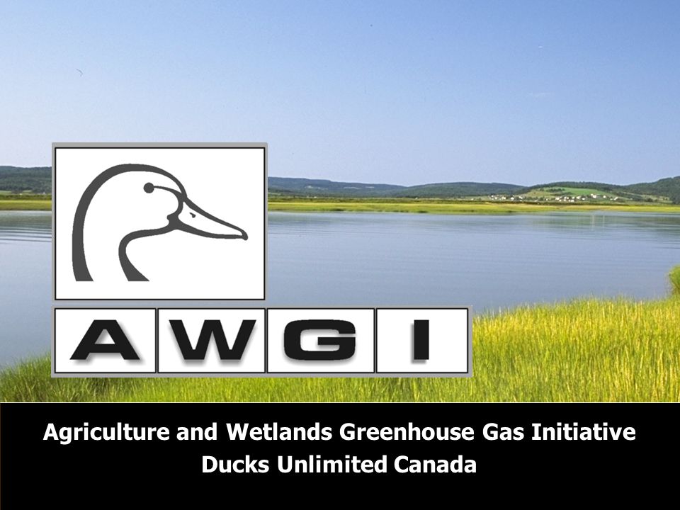 Agriculture and Wetlands Greenhouse Gas Initiative Ducks Unlimited Canada