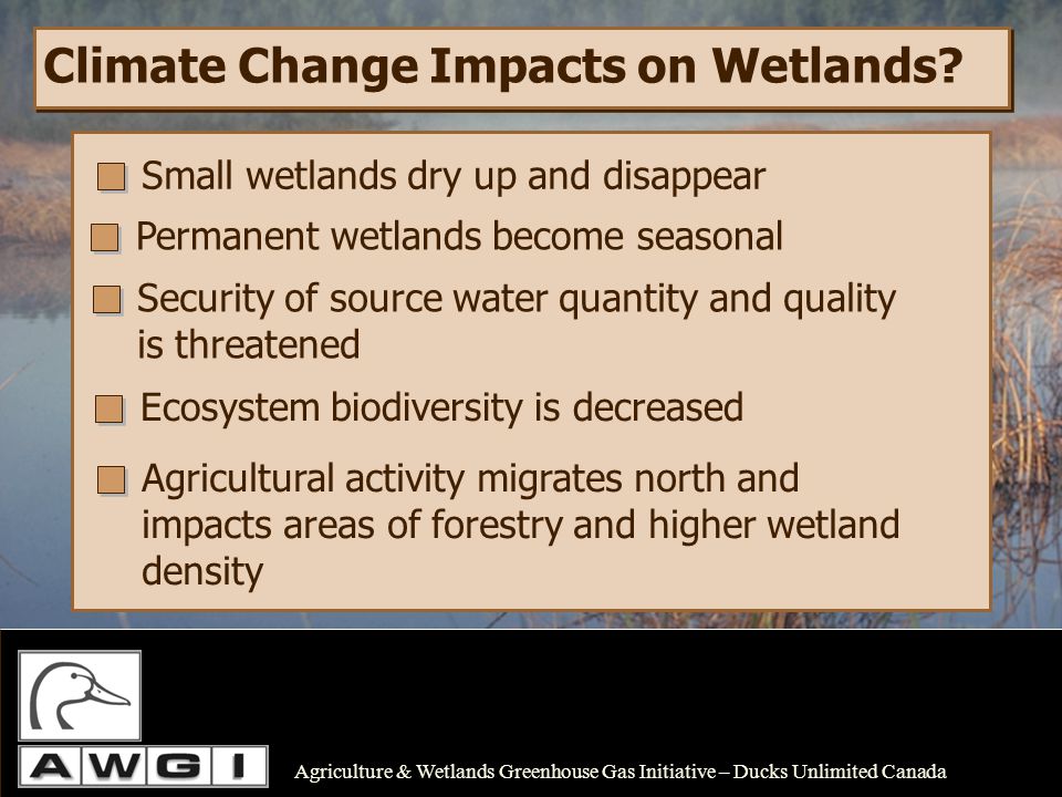 Climate Change Impacts on Wetlands.