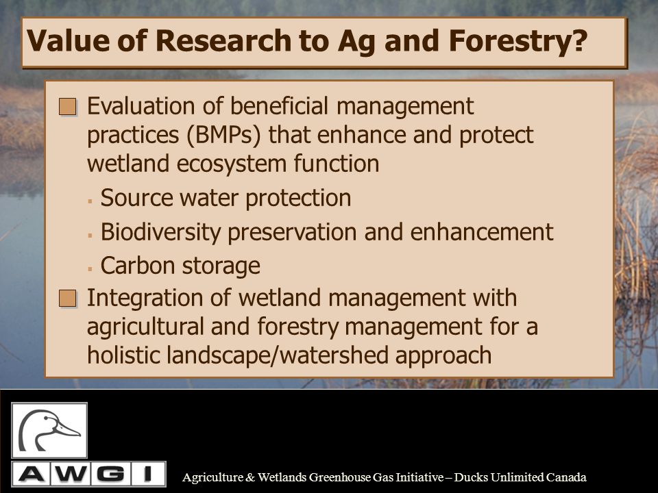 Value of Research to Ag and Forestry.