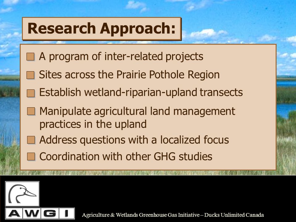 Agriculture & Wetlands Greenhouse Gas Initiative – Ducks Unlimited Canada Research Approach: A program of inter-related projects Sites across the Prairie Pothole Region Establish wetland-riparian-upland transects Manipulate agricultural land management practices in the upland Address questions with a localized focus Coordination with other GHG studies