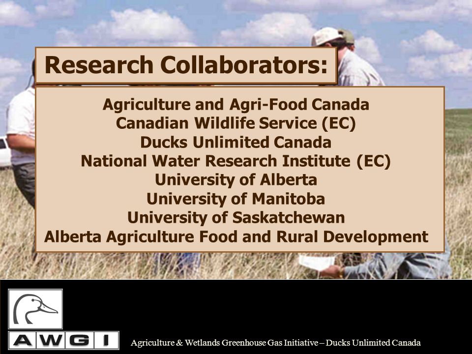 Agriculture and Agri-Food Canada Canadian Wildlife Service (EC) Ducks Unlimited Canada National Water Research Institute (EC) University of Alberta University of Manitoba University of Saskatchewan Alberta Agriculture Food and Rural Development Research Collaborators: Agriculture & Wetlands Greenhouse Gas Initiative – Ducks Unlimited Canada