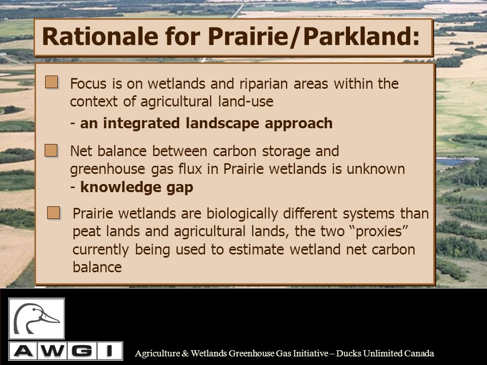 Rationale for Prairie/Parkland: Focus is on wetlands and riparian areas within the context of agricultural land-use - an integrated landscape approach Net balance between carbon storage and greenhouse gas flux in Prairie wetlands is unknown - knowledge gap Prairie wetlands are biologically different systems than peat lands and agricultural lands, the two proxies currently being used to estimate wetland net carbon balance Agriculture & Wetlands Greenhouse Gas Initiative – Ducks Unlimited Canada