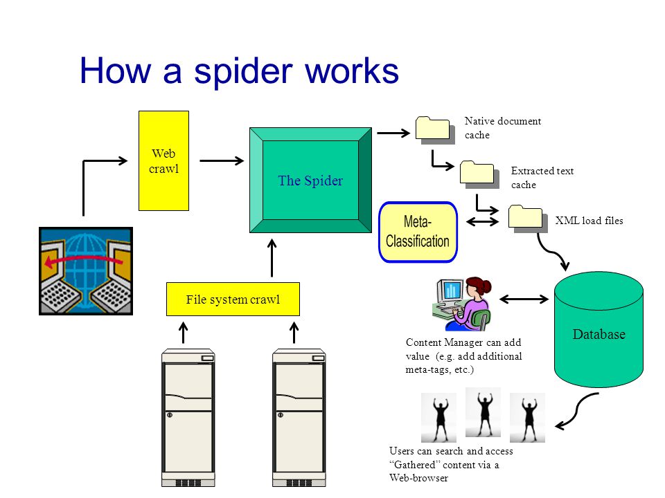How a spider works File system crawl Database Web crawl The Spider Native document cache Extracted text cache XML load files Content Manager can add value (e.g.