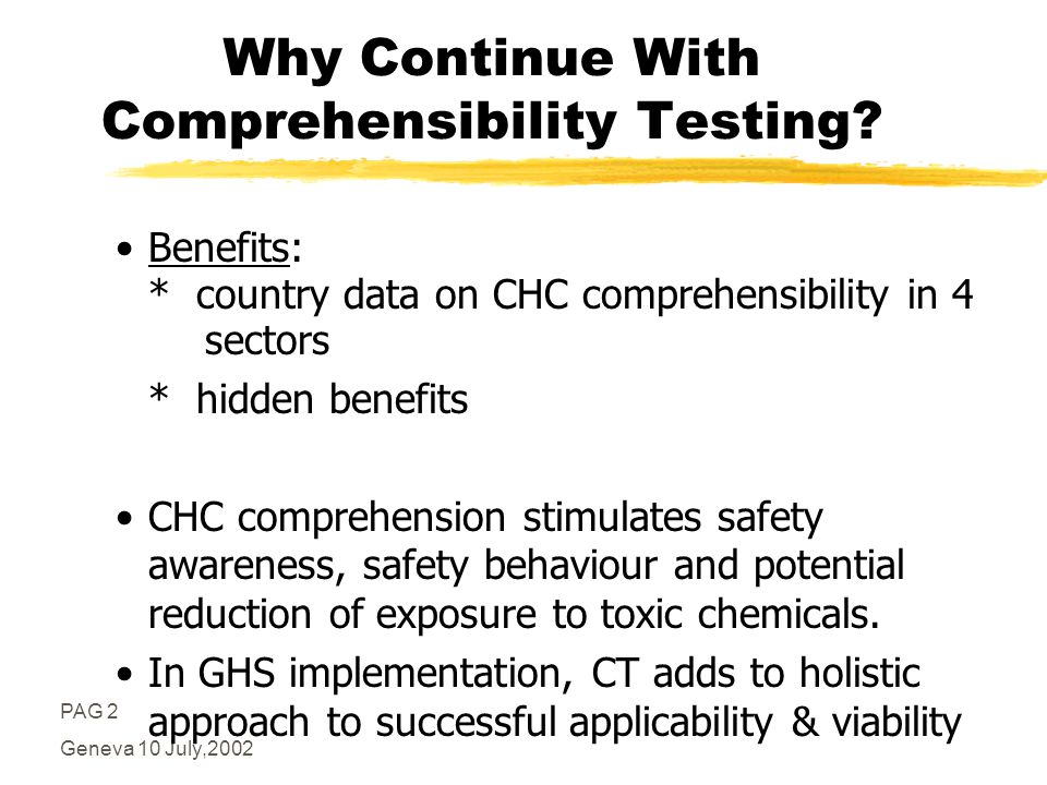 PAG 2 Geneva 10 July,2002 Why Continue With Comprehensibility Testing.