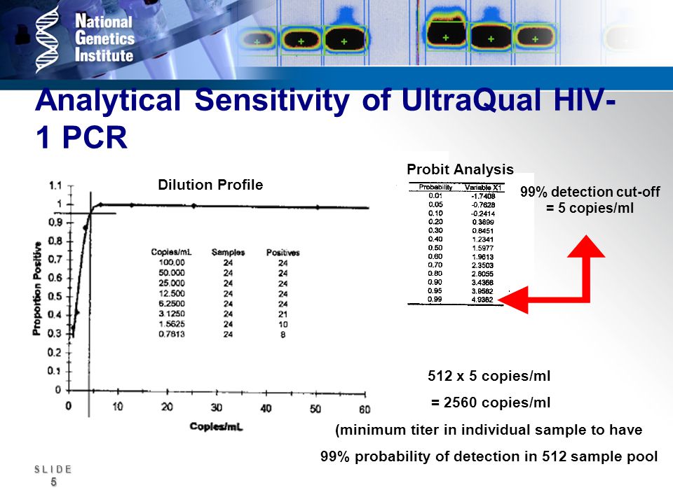 S L I D E 5 Dilution Profile Analytical Sensitivity of UltraQual HIV- 1 PCR Probit Analysis 99% detection cut-off = 5 copies/ml 512 x 5 copies/ml = 2560 copies/ml (minimum titer in individual sample to have 99% probability of detection in 512 sample pool
