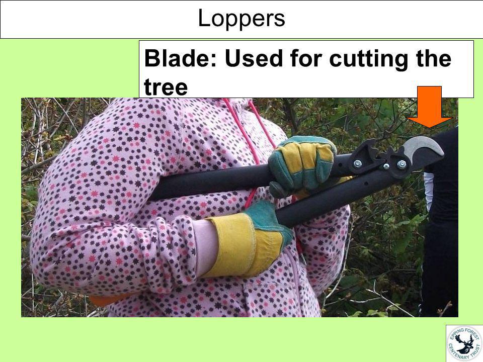 Blade: Used for cutting the tree Loppers