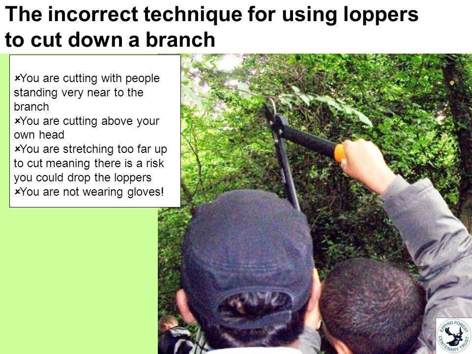 The incorrect technique for using loppers to cut down a branch You are cutting with people standing very near to the branch You are cutting above your own head You are stretching too far up to cut meaning there is a risk you could drop the loppers You are not wearing gloves!