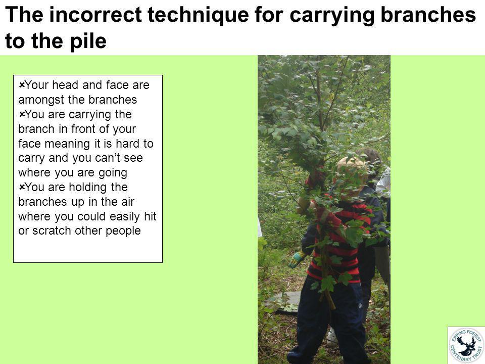 The incorrect technique for carrying branches to the pile Your head and face are amongst the branches You are carrying the branch in front of your face meaning it is hard to carry and you cant see where you are going You are holding the branches up in the air where you could easily hit or scratch other people