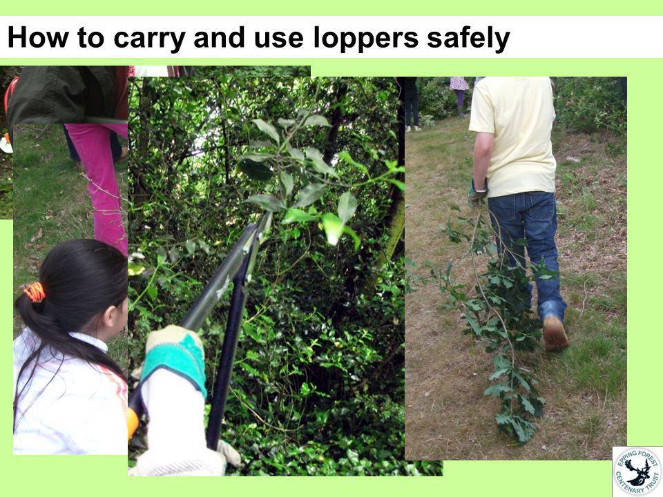How to carry and use loppers safely
