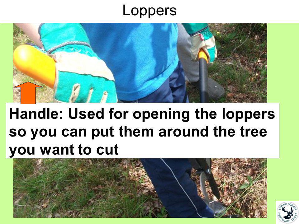 Handle: Used for opening the loppers so you can put them around the tree you want to cut Loppers