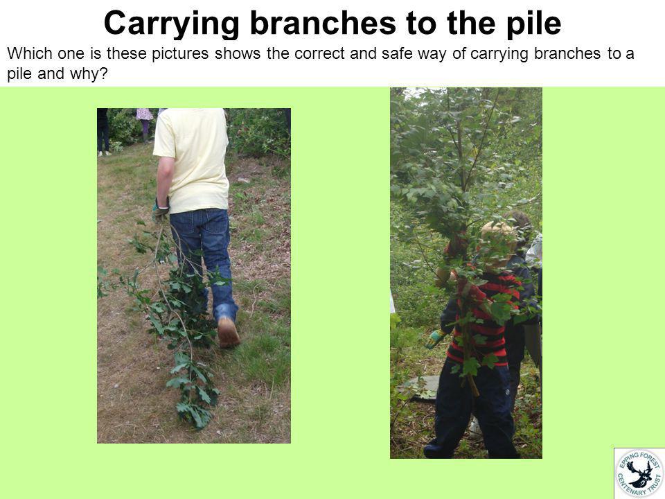 Carrying branches to the pile Which one is these pictures shows the correct and safe way of carrying branches to a pile and why