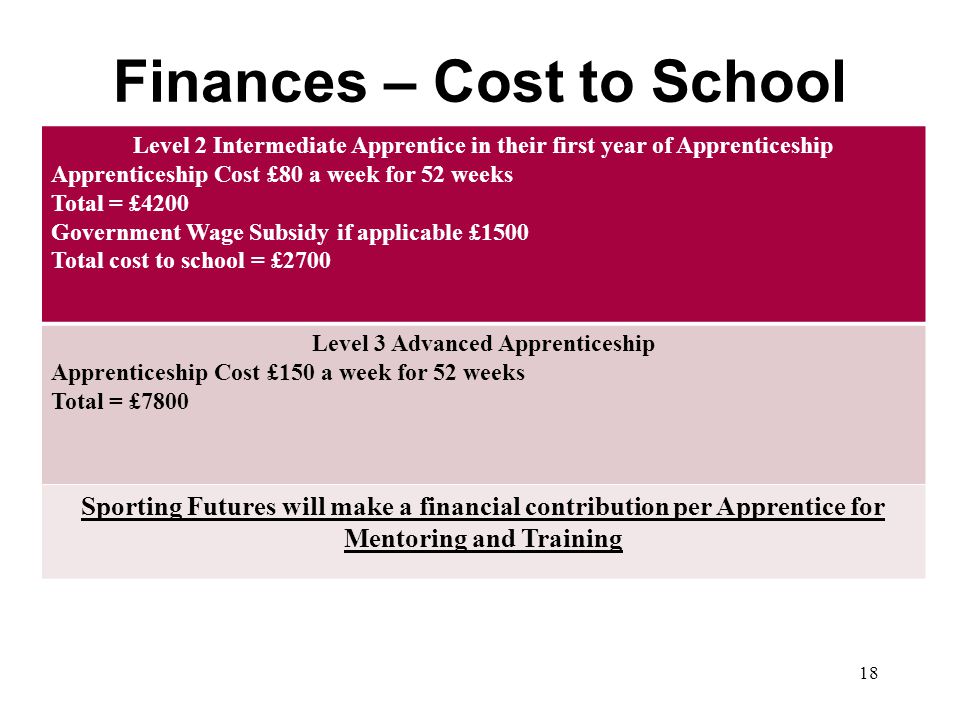 Finances – Cost to School 18 Level 2 Intermediate Apprentice in their first year of Apprenticeship Apprenticeship Cost £80 a week for 52 weeks Total = £4200 Government Wage Subsidy if applicable £1500 Total cost to school = £2700 Level 3 Advanced Apprenticeship Apprenticeship Cost £150 a week for 52 weeks Total = £7800 Sporting Futures will make a financial contribution per Apprentice for Mentoring and Training