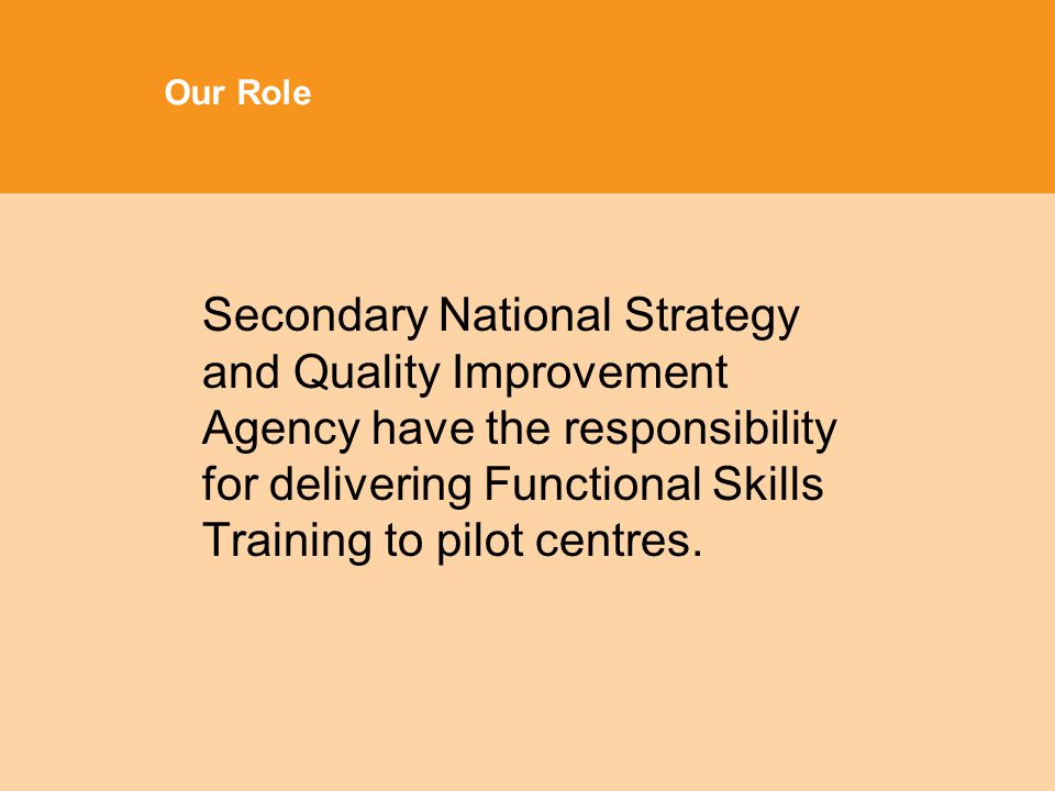 Our Role Secondary National Strategy and Quality Improvement Agency have the responsibility for delivering Functional Skills Training to pilot centres.
