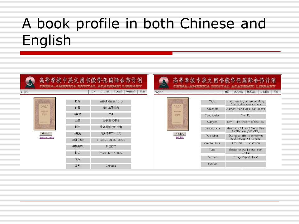 A book profile in both Chinese and English