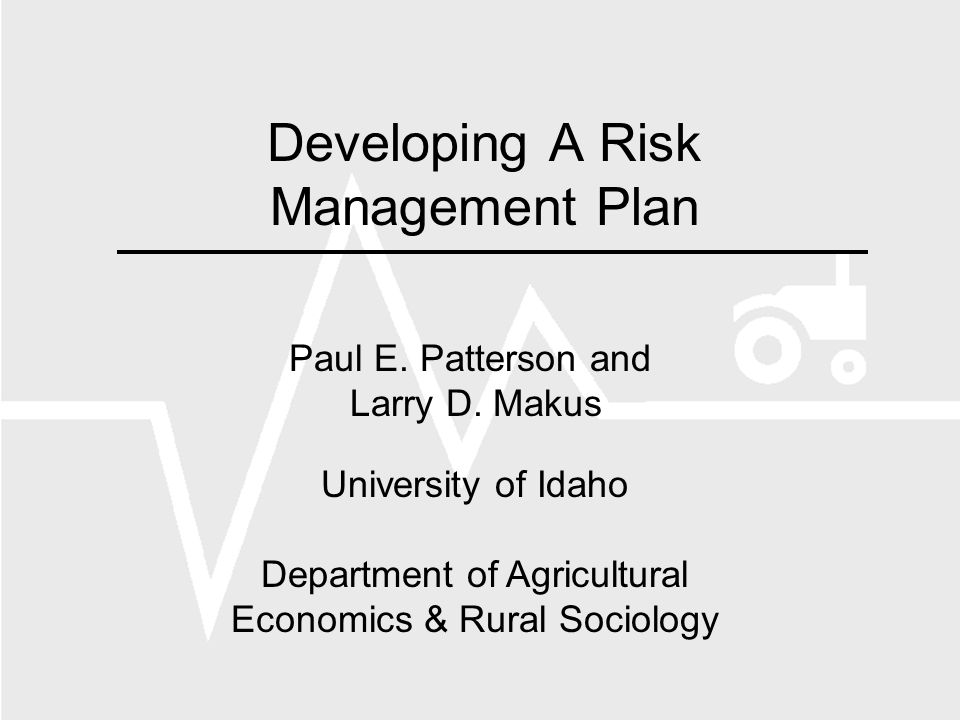 Developing A Risk Management Plan Paul E. Patterson and Larry D.