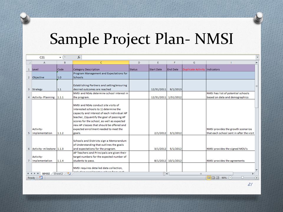 Sample Project Plan- NMSI 21