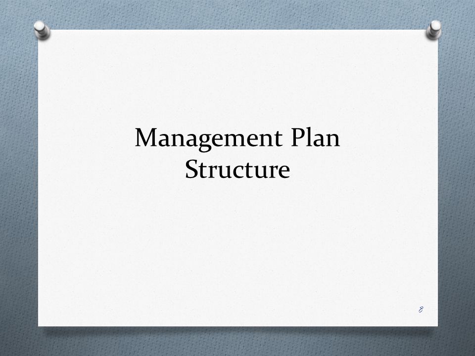 Management Plan Structure 8