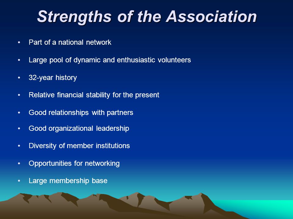 Strengths of the Association Part of a national network Large pool of dynamic and enthusiastic volunteers 32-year history Relative financial stability for the present Good relationships with partners Good organizational leadership Diversity of member institutions Opportunities for networking Large membership base