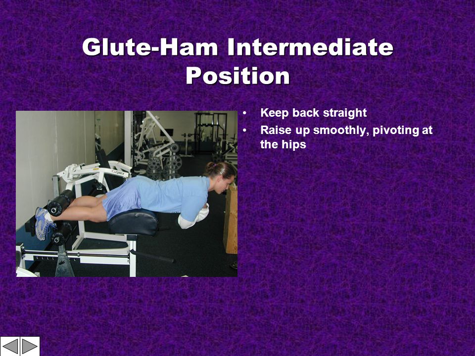 Glute-Ham Intermediate Position Keep back straight Raise up smoothly, pivoting at the hips