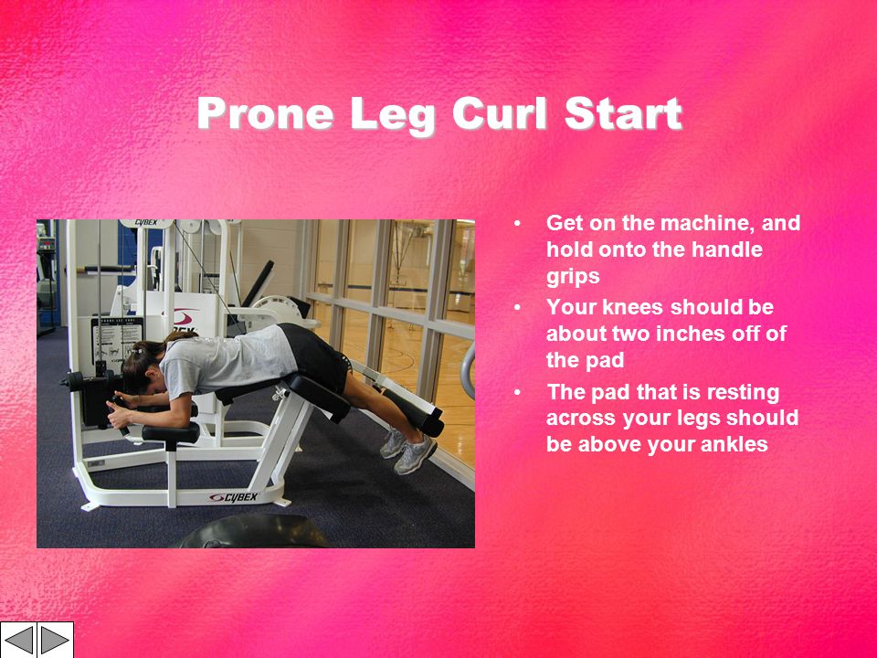 Prone Leg Curl Start Get on the machine, and hold onto the handle grips Your knees should be about two inches off of the pad The pad that is resting across your legs should be above your ankles