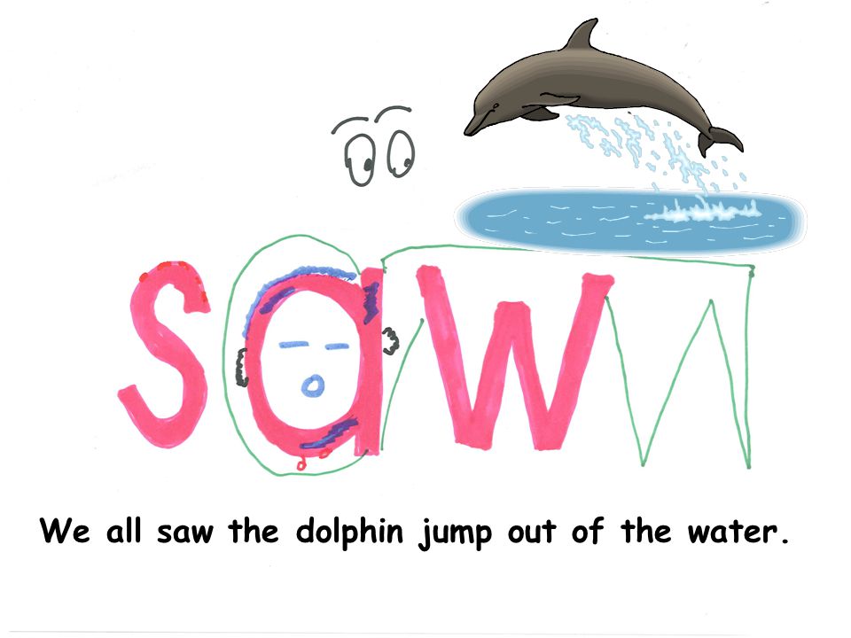 We all saw the dolphin jump out of the water.