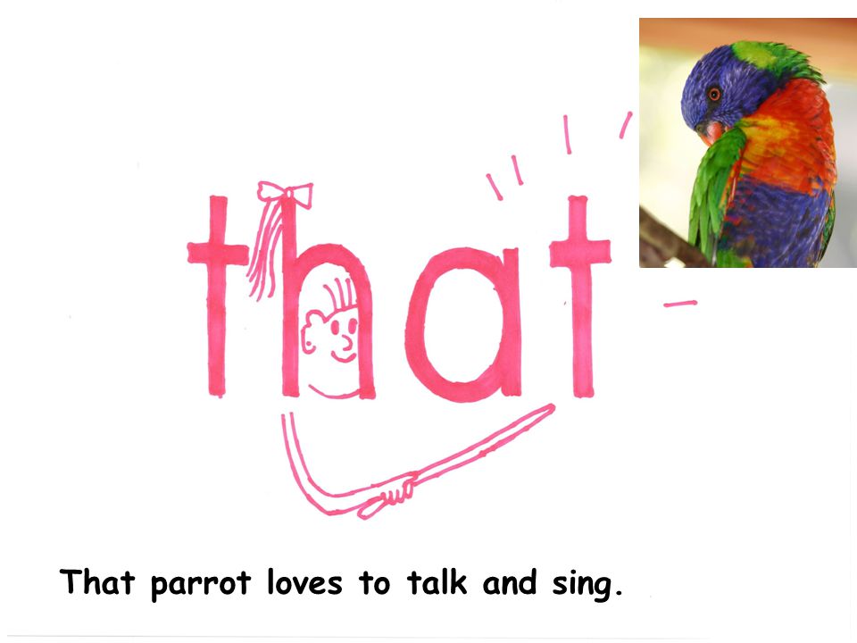 That parrot loves to talk and sing.