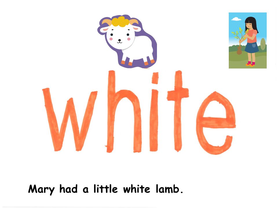Mary had a little white lamb.