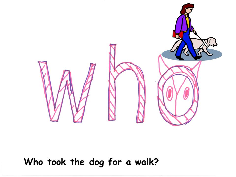 Who took the dog for a walk