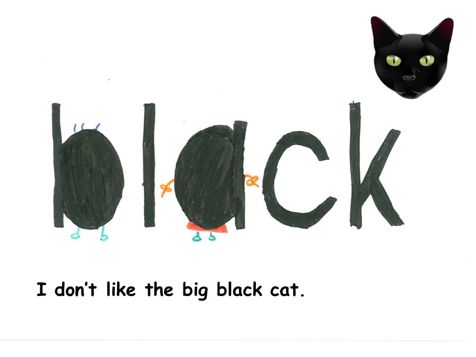 I dont like the big black cat.