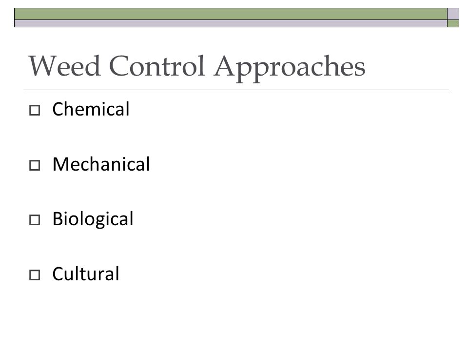 Weed Control Approaches Chemical Mechanical Biological Cultural