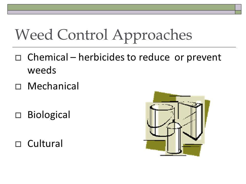 Weed Control Approaches Chemical – herbicides to reduce or prevent weeds Mechanical Biological Cultural