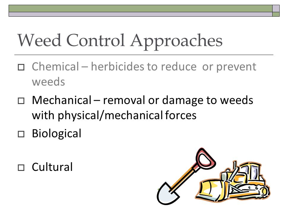 Weed Control Approaches Chemical – herbicides to reduce or prevent weeds Mechanical – removal or damage to weeds with physical/mechanical forces Biological Cultural
