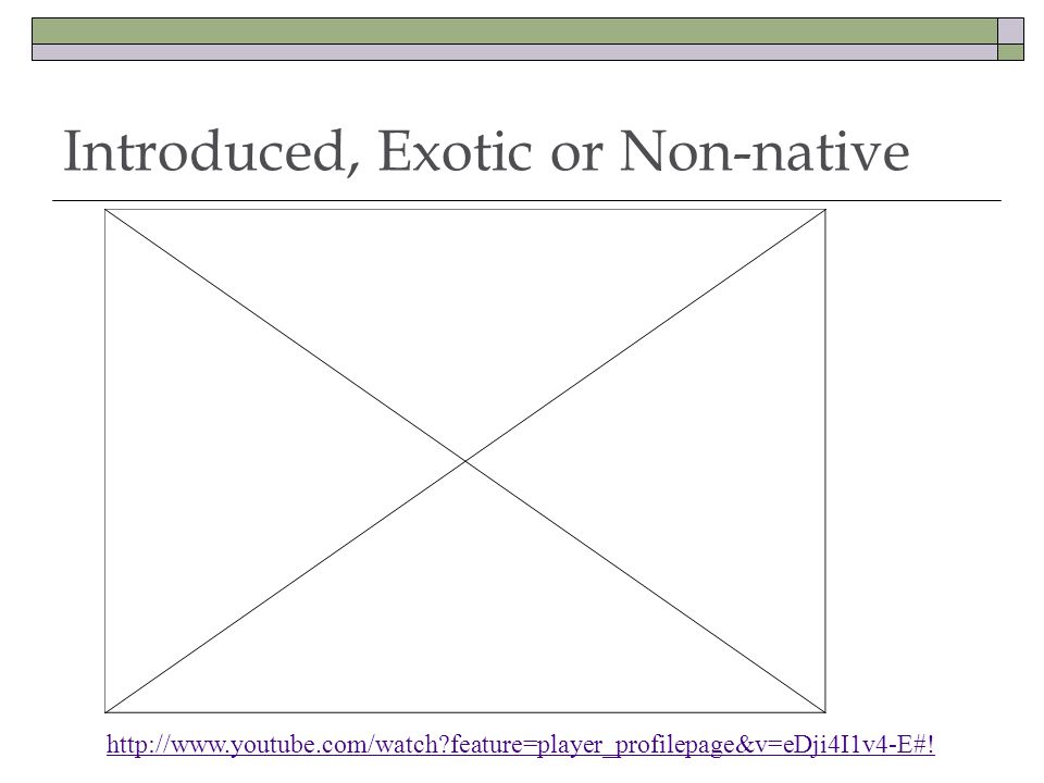 Introduced, Exotic or Non-native   feature=player_profilepage&v=eDji4I1v4-E#!