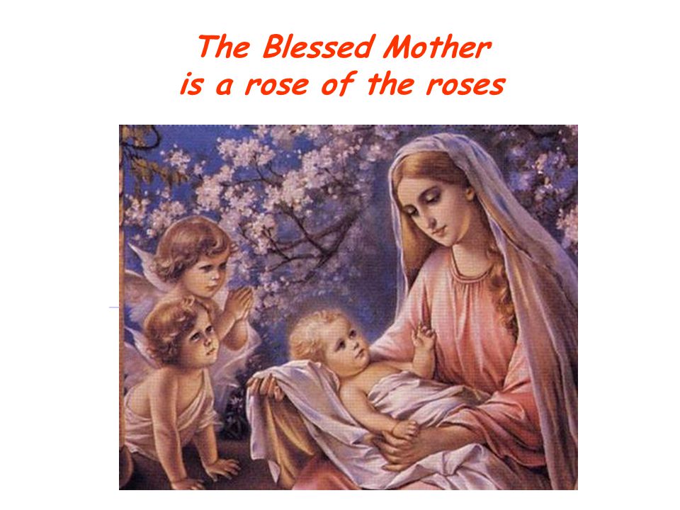 The Blessed Mother is a rose of the roses