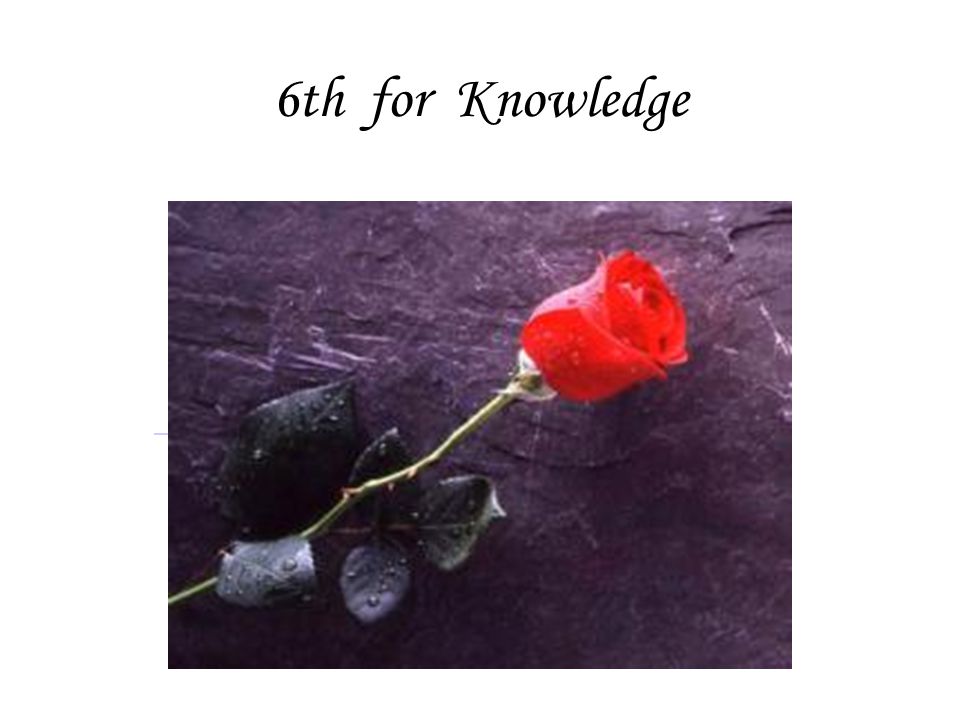 6th for Knowledge