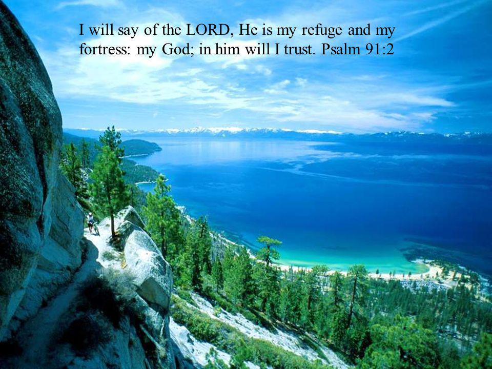 I will say of the LORD, He is my refuge and my fortress: my God; in him will I trust. Psalm 91:2