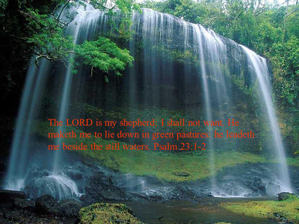 The LORD is my shepherd; I shall not want.