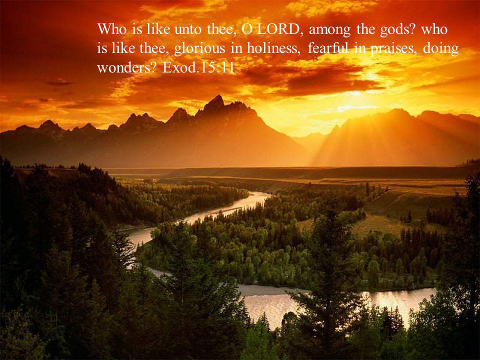 Who is like unto thee, O LORD, among the gods.