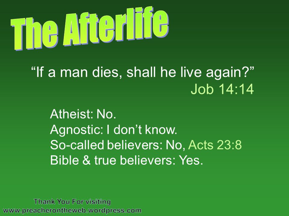 If a man dies, shall he live again. Job 14:14 Atheist: No.